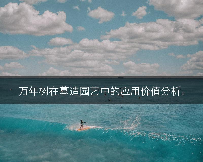 万年树在墓造园艺中的应用价值分析。(图1)