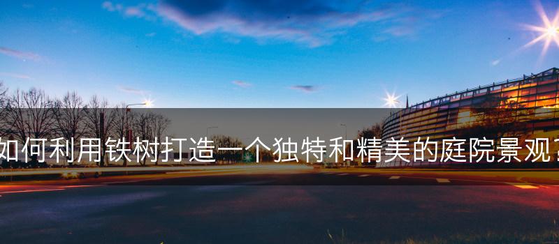 如何利用铁树打造一个独特和精美的庭院景观？(图1)