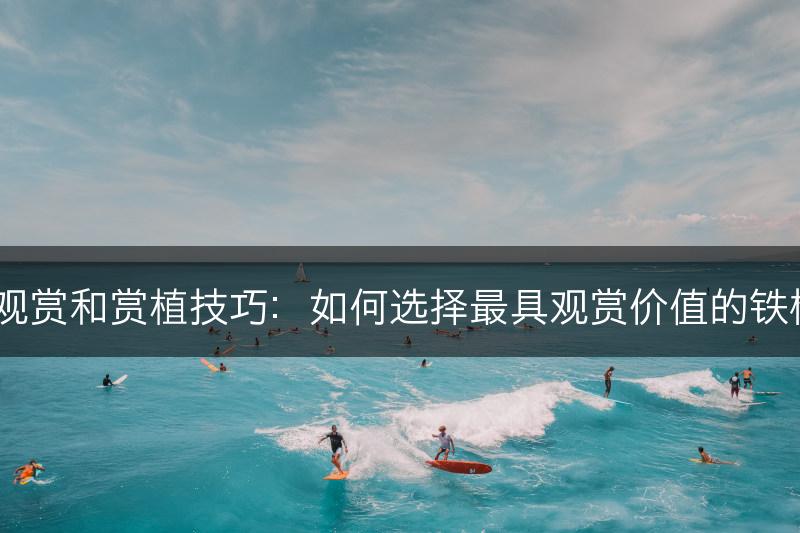铁树的观赏和赏植技巧：如何选择最具观赏价值的铁树品种？(图1)