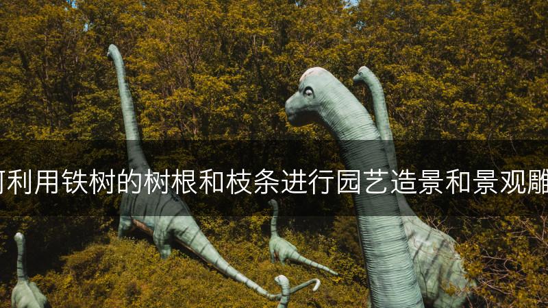 如何利用铁树的树根和枝条进行园艺造景和景观雕塑？
