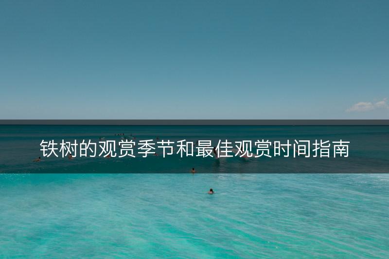 铁树的观赏季节和最佳观赏时间指南(图1)