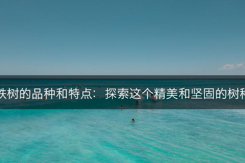 铁树的品种和特点：探索这个精美和坚固的树种(图1)