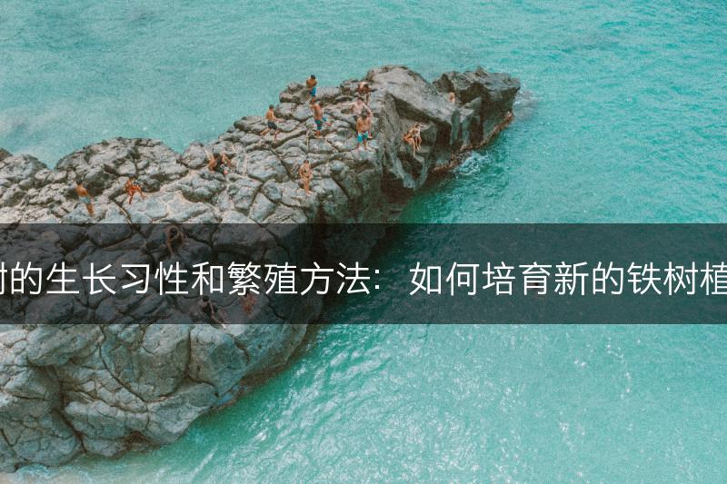 铁树的生长习性和繁殖方法：如何培育新的铁树植株？(图1)
