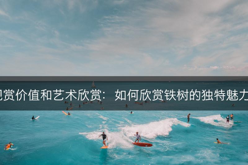 铁树的观赏价值和艺术欣赏：如何欣赏铁树的独特魅力和美丽？(图1)