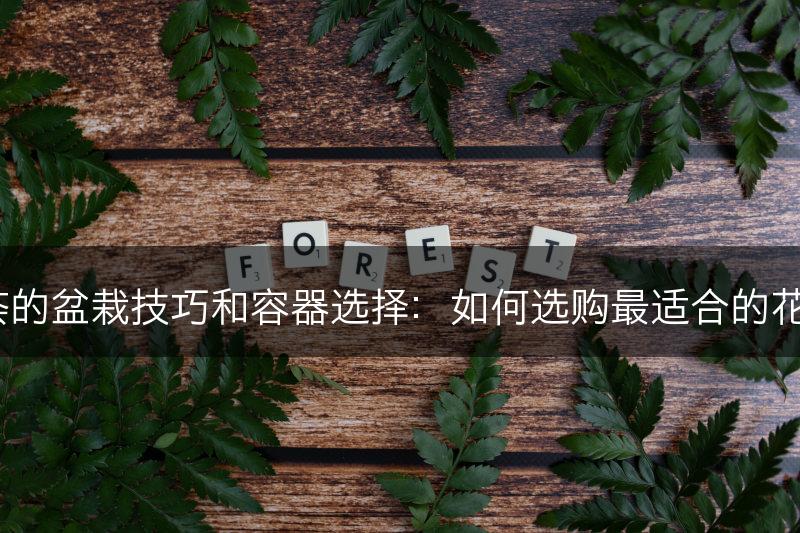 芦荟的盆栽技巧和容器选择:如何选购最适合的花盆?(图1) 芦荟的盆栽技巧和容器选择:如何选购最适合的花盆?(图1)