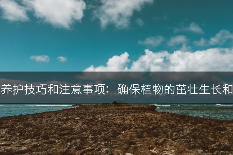 平安树的养护技巧和注意事项：确保植物的茁壮生长和健康状况(图1)