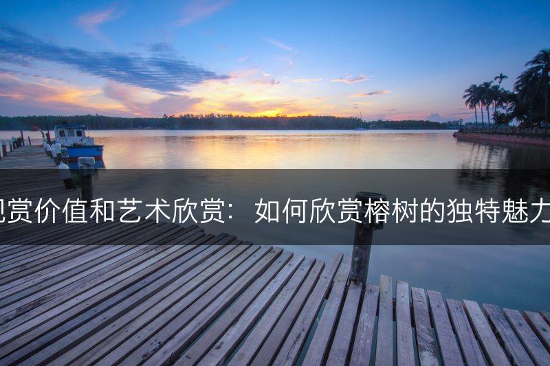 榕树的观赏价值和艺术欣赏：如何欣赏榕树的独特魅力和美丽？(图1)