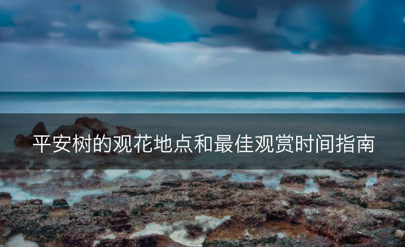 平安树的观花地点和最佳观赏时间指南(图1)