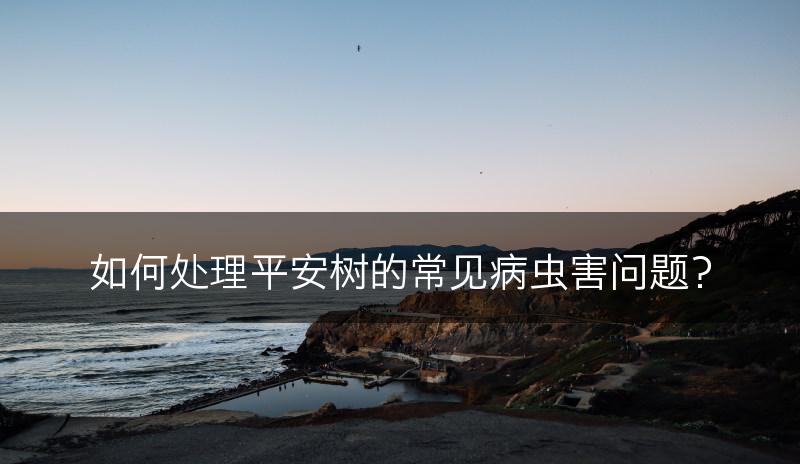 如何处理平安树的常见病虫害问题？(图1)