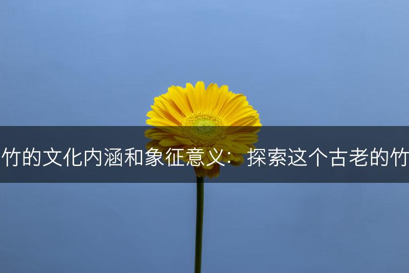 富贵竹的文化内涵和象征意义：探索这个古老的竹文化(图1)