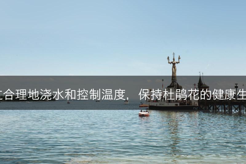 如何通过合理地浇水和控制温度，保持杜鹃花的健康生长状态？(图1)