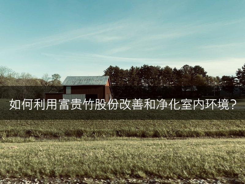如何利用富贵竹股份改善和净化室内环境？(图1)