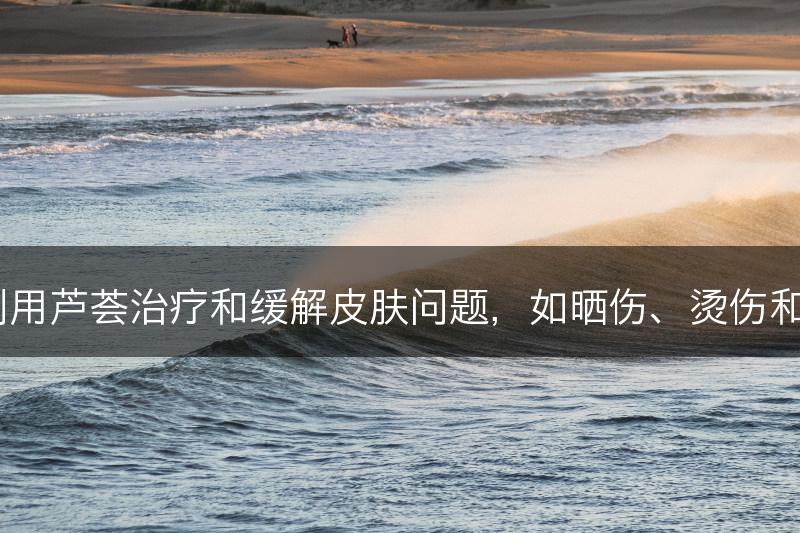 如何利用芦荟治疗和缓解皮肤问题，如晒伤、烫伤和湿疹？(图1)