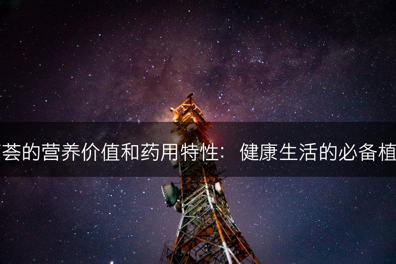 芦荟的营养价值和药用特性：健康生活的必备植物(图1)
