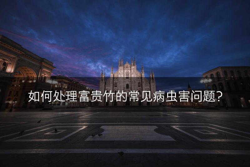 如何处理富贵竹的常见病虫害问题？(图1)