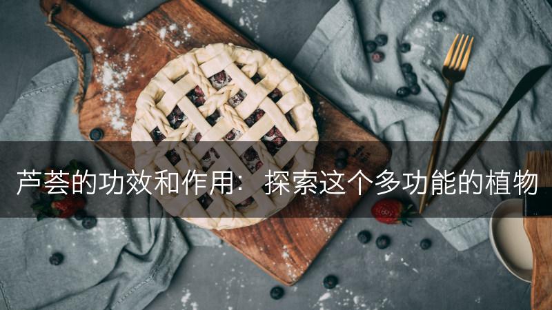 芦荟的功效和作用：探索这个多功能的植物(图1)