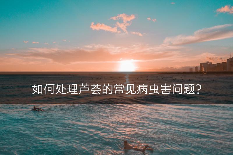 如何处理芦荟的常见病虫害问题?(图1) 如何处理芦荟的常见病虫害问题?(图1)