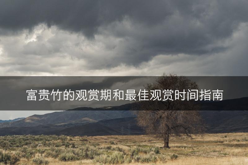 富贵竹的观赏期和最佳观赏时间指南(图1)