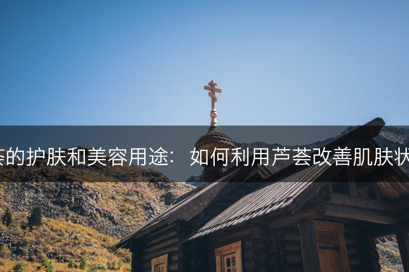 芦荟的护肤和美容用途：如何利用芦荟改善肌肤状况？(图1)