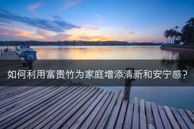 如何利用富贵竹为家庭增添清新和安宁感？(图1)