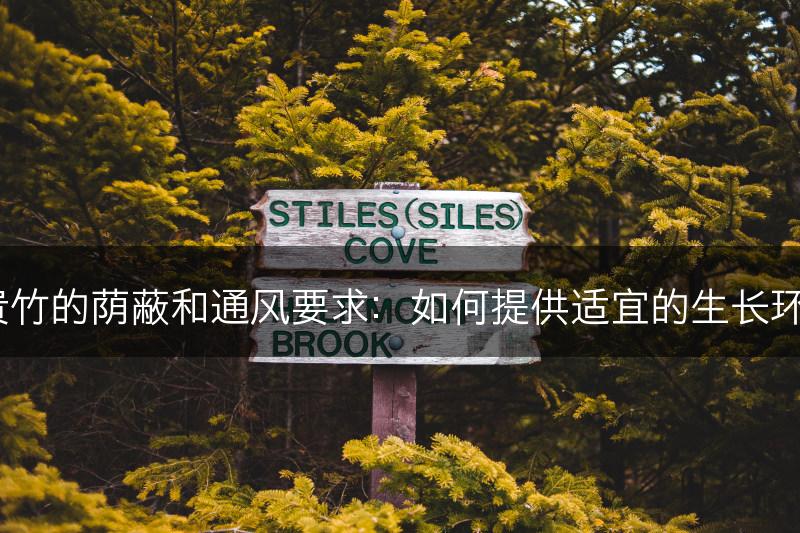 富贵竹的荫蔽和通风要求：如何提供适宜的生长环境？(图1)