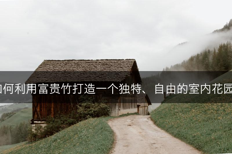 如何利用富贵竹打造一个独特、自由的室内花园？(图1)