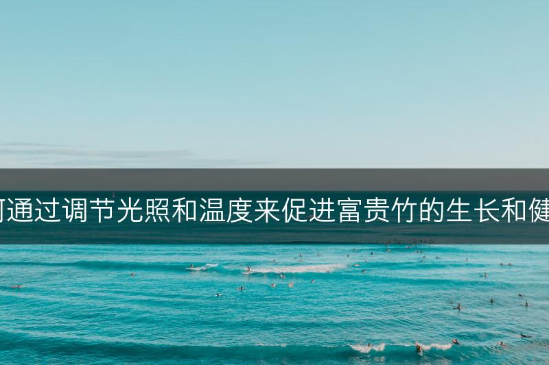 如何通过调节光照和温度来促进富贵竹的生长和健康?(图1) 如何通过调节光照和温度来促进富贵竹的生长和健康?(图1)