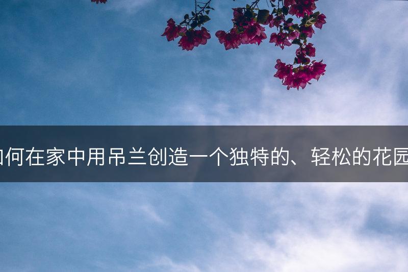 如何在家中用吊兰创造一个独特的、轻松的花园？(图1)