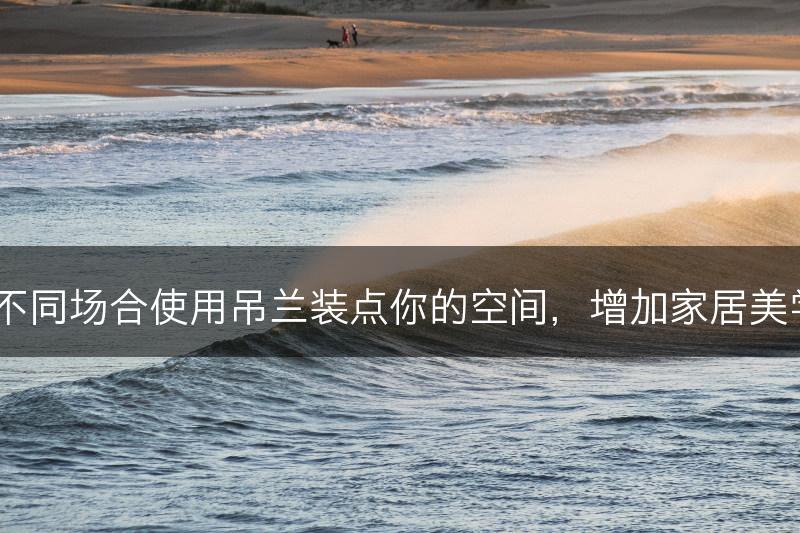 如何在不同场合使用吊兰装点你的空间，增加家居美学价值？(图1)