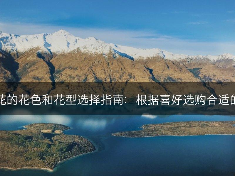 杜鹃花的花色和花型选择指南：根据喜好选购合适的品种(图1)