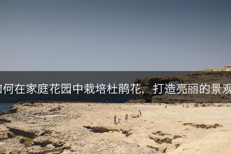 如何在家庭花园中栽培杜鹃花，打造亮丽的景观？(图1)