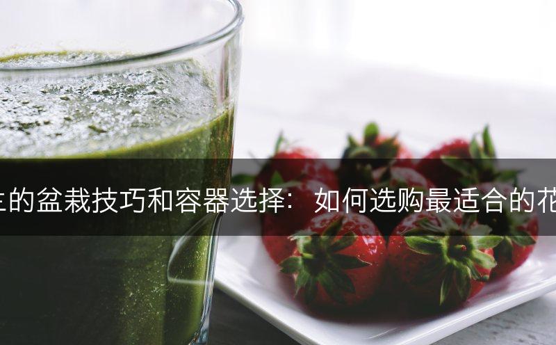 吊兰的盆栽技巧和容器选择：如何选购最适合的花盆？(图1)