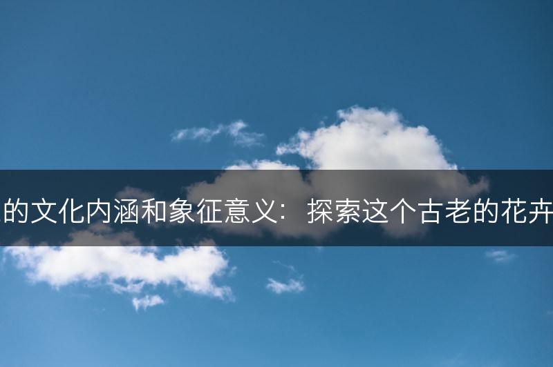 吊兰的文化内涵和象征意义：探索这个古老的花卉文化(图1)