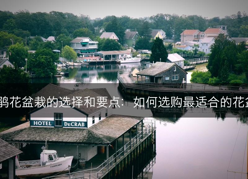 杜鹃花盆栽的选择和要点：如何选购最适合的花盆？(图1)