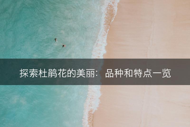 探索杜鹃花的美丽：品种和特点一览(图1)