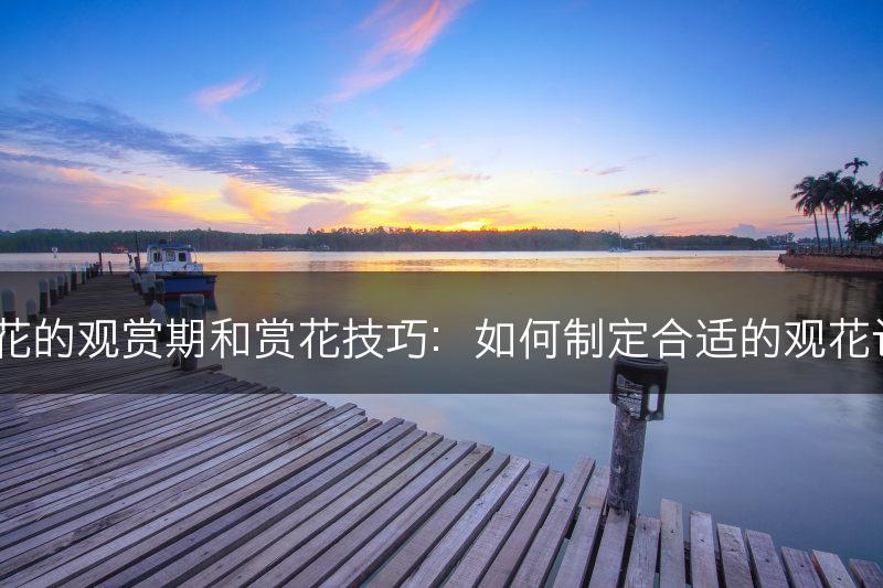 杜鹃花的观赏期和赏花技巧：如何制定合适的观花计划？(图1)