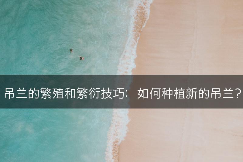 吊兰的繁殖和繁衍技巧：如何种植新的吊兰？(图1)