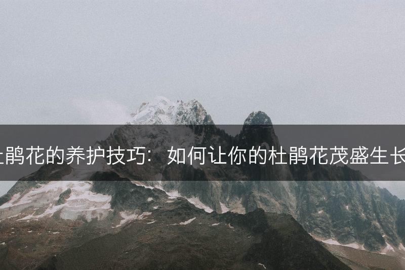 杜鹃花的养护技巧：如何让你的杜鹃花茂盛生长？(图1)