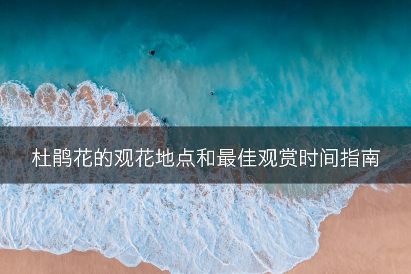 杜鹃花的观花地点和最佳观赏时间指南(图1)