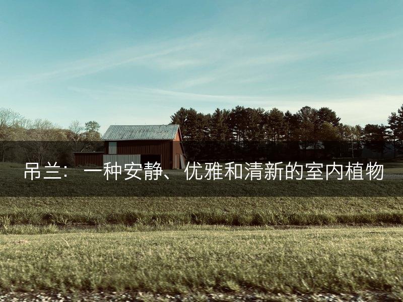 吊兰：一种安静、优雅和清新的室内植物(图1)