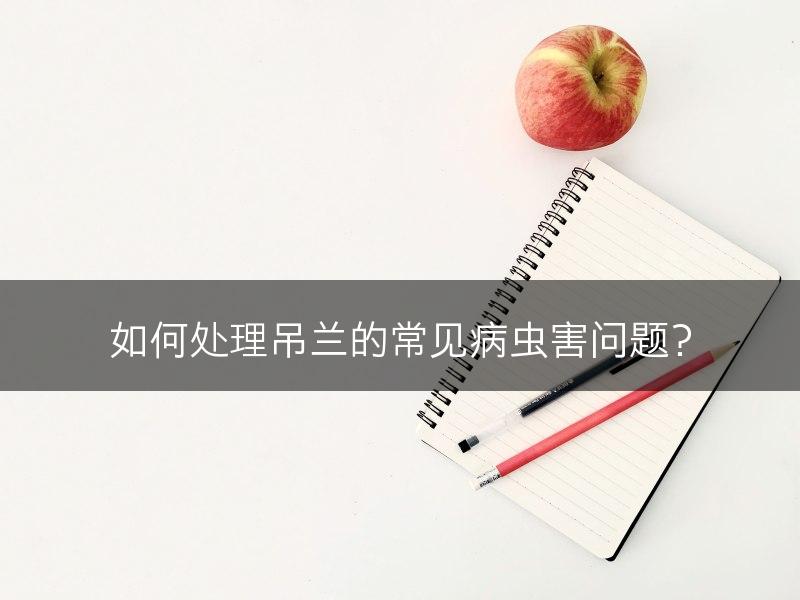 如何处理吊兰的常见病虫害问题？(图1)