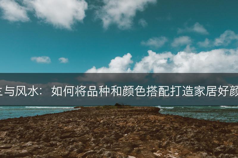 吊兰与风水：如何将品种和颜色搭配打造家居好颜色？(图1)