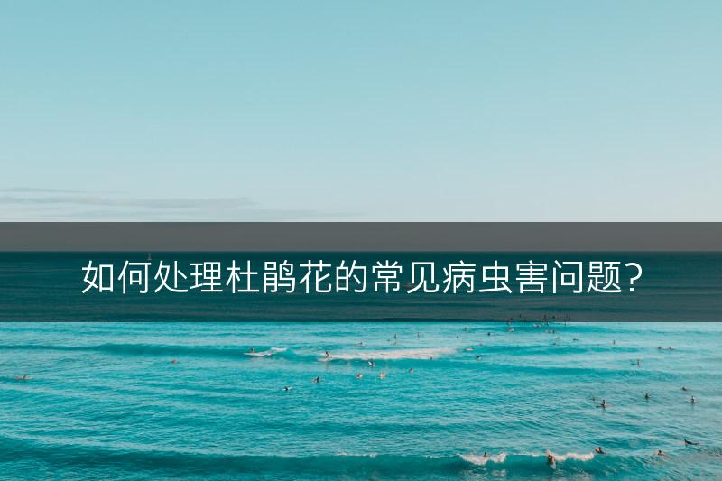 如何处理杜鹃花的常见病虫害问题？(图1)