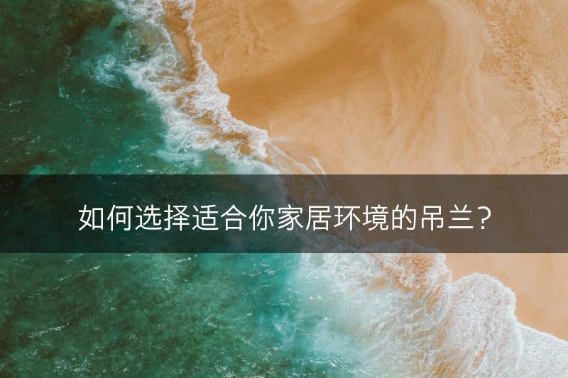 如何选择适合你家居环境的吊兰？(图1)