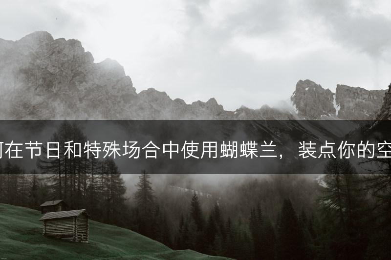 如何在节日和特殊场合中使用蝴蝶兰,装点你的空间?(图1) 如何在节日和特殊场合中使用蝴蝶兰,装点你的空间?(图1)