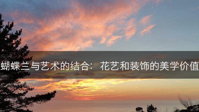 蝴蝶兰与艺术的结合：花艺和装饰的美学价值(图1)