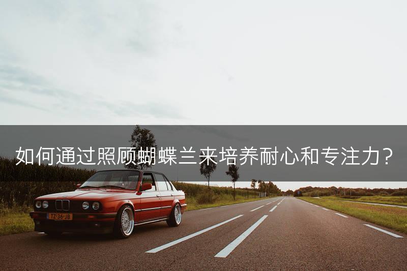 如何通过照顾蝴蝶兰来培养耐心和专注力?(图1) 如何通过照顾蝴蝶兰来培养耐心和专注力?(图1)