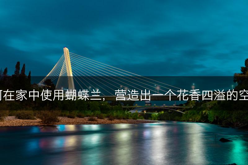 如何在家中使用蝴蝶兰,营造出一个花香四溢的空间?(图1) 如何在家中使用蝴蝶兰,营造出一个花香四溢的空间?(图1)