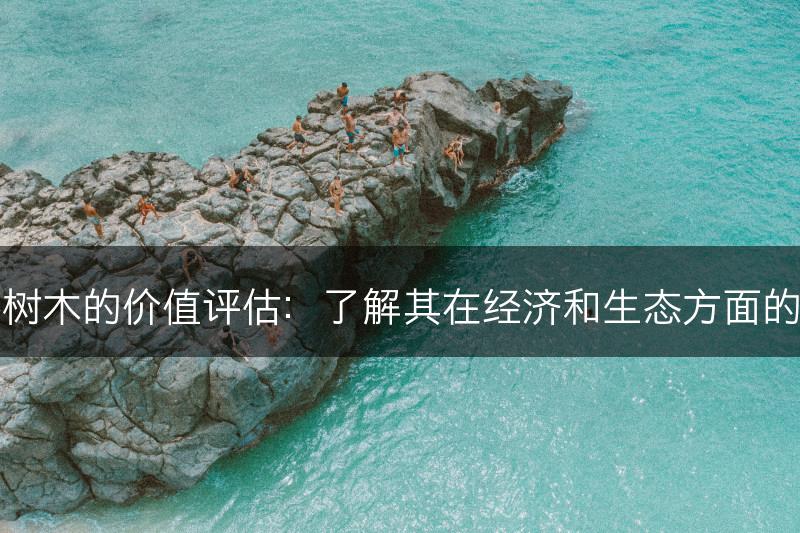 红豆杉树木的价值评估：了解其在经济和生态方面的重要性(图1)