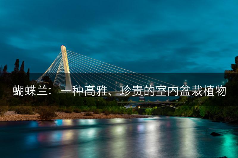 蝴蝶兰:一种高雅、珍贵的室内盆栽植物(图1) 蝴蝶兰:一种高雅、珍贵的室内盆栽植物(图1)